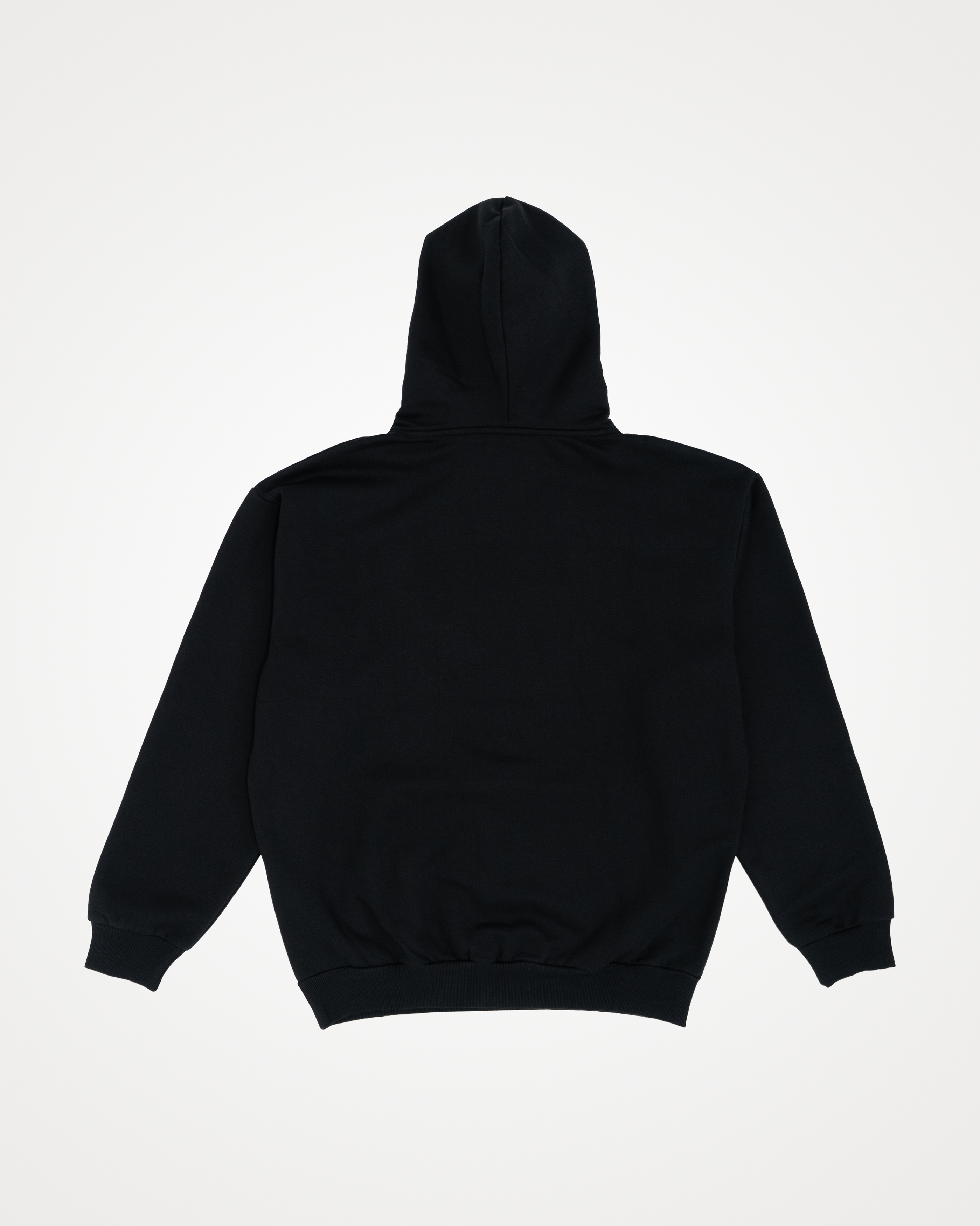 Coast Hoodie